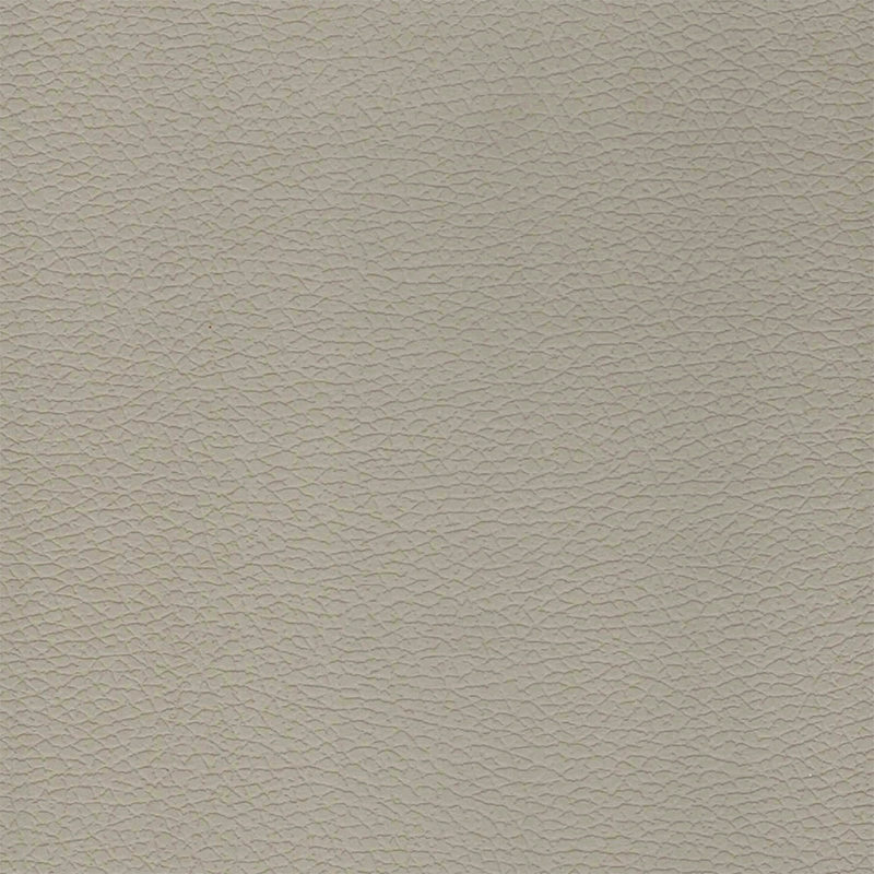 PZ02 Leather2 Textuurpaneel - Lichte luxe