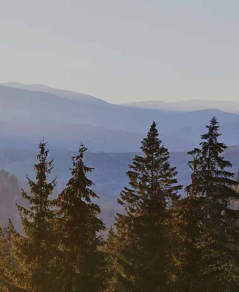 Melamine bord van leerontwerp